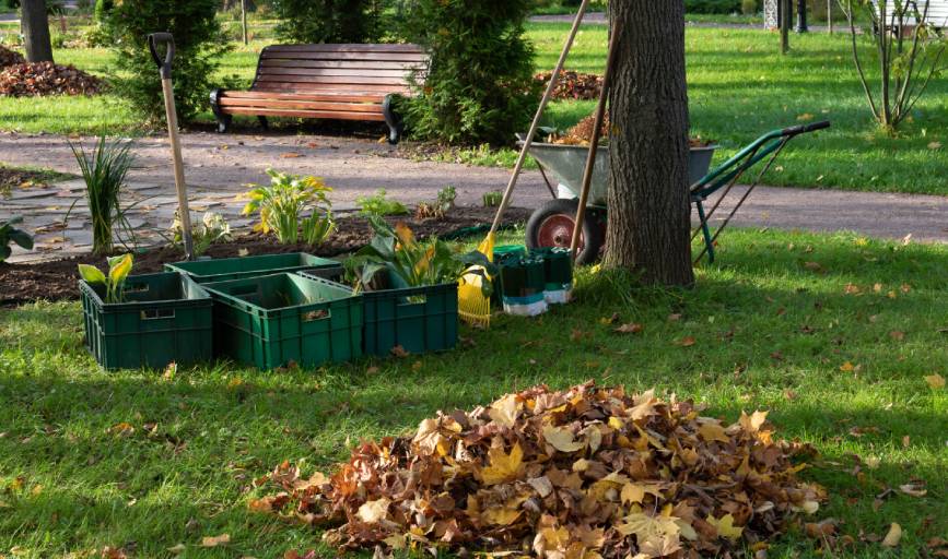 Yard Clean-Up